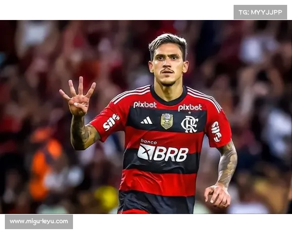 巴西总统致电祝贺弗拉门戈夺冠